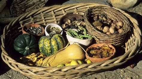 Native American Contributions To World Foods Feasts Of History