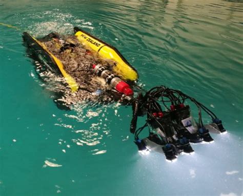 Bay Dynamics Nz Underwater Rov Services Professional And Certified