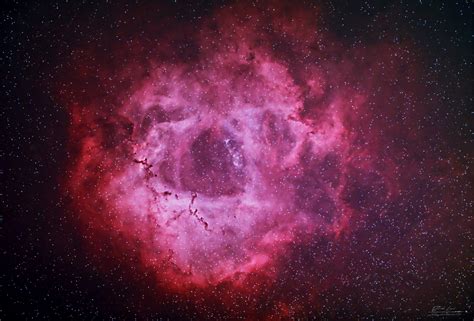 A Starless Rosette Nebula Rastrophotography