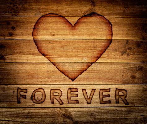 Love Forever Stock Image Image Of Love Stem Shape 25536391