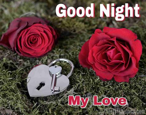 121 Romantic Good Night Rose Flower Images Hd 2024 Best Status Pics