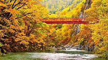 Hokkaido's Top 5 Autumn Color Spots | All About Japan