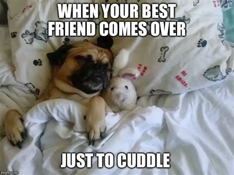 37 Cute Cuddle Memes To Share With Your Loved Ones Ripe Social