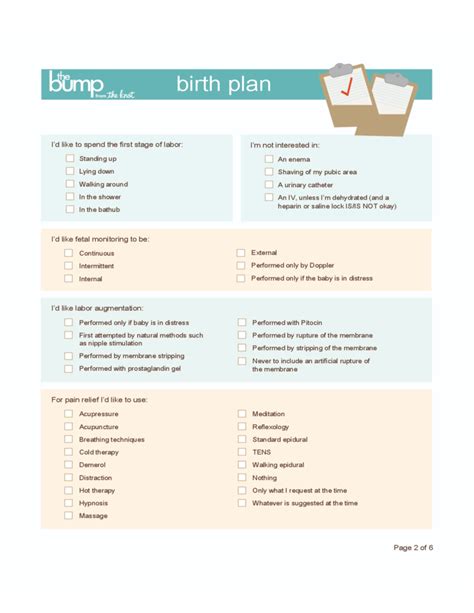Sample Birth Plan Template Free Download