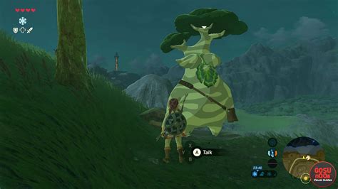 Zelda Breath Of The Wild How To Increase Inventory Space