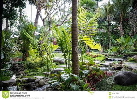Lush Tropical Garden With Assorted Colorful Flowers And