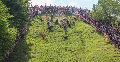 Photos As Annual Cheese Rolling Event Takes Place Berkshire Live