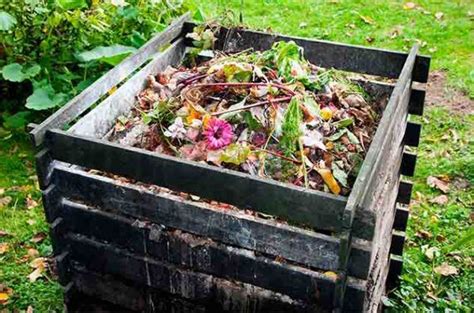 Cómo Hacer Una Composta Casera Para Plantas Cocina Vital Recetas