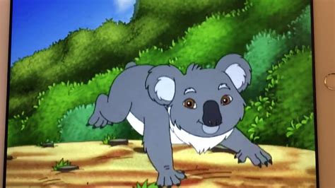 Go Diego Go Koala