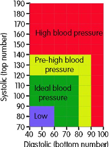 2023 What Is Systolic And Diastolic Pressure And The Ideal Numbers