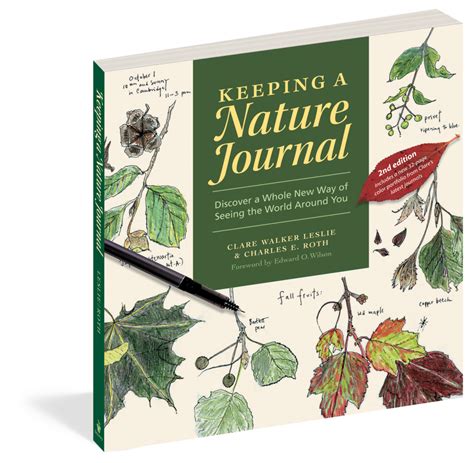 Keeping a Nature Journal | Nature journal, Nature kids, Ways of seeing