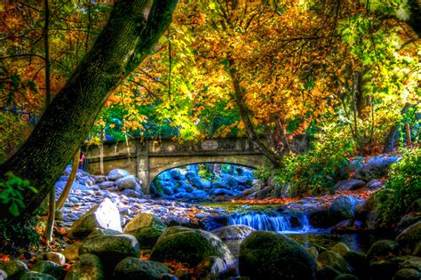 Bridge And Waterfall Stream In Autumn Forest Hd Wallpaper Background