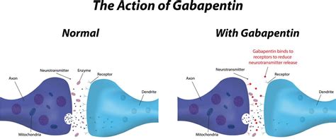 Gabapentin가바펜틴뉴론틴뉴가바 네이버 블로그