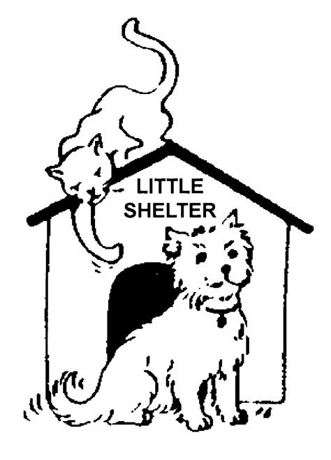 Little Shelter Animal Rescue And Adoption Center Cuddly