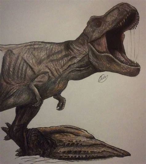 More Progress Of Drawing T Rex Dinosaur Drawing
