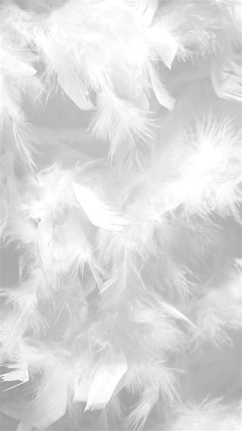 White Feathers Are Scattered On The Surface
