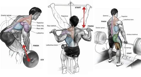 The Only Back Workout You Need For That Perfect V Shape Back Workout Good