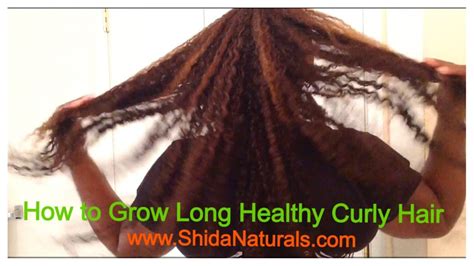 The hair can deceivingly appear as if it's grown half of that, says. How to Grow Long Healthy Natural Curly Hair Fast - YouTube