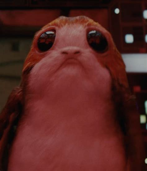 Star Wars Last Jedi Toy Reveals Baby Porgs Are Ugly And Bad