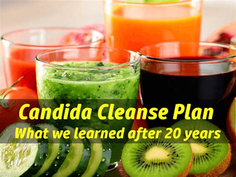 candida cleanse what we learned in 20 years of yeast cleansing