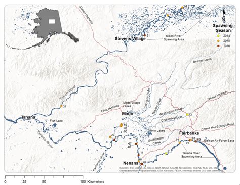 Locations Of Minto Flats Radiotagged Broad Whitefish During Each