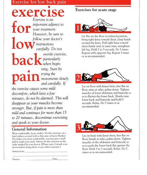 Famous Low Back Pain Exercise Pdf Ideas Satu Trik