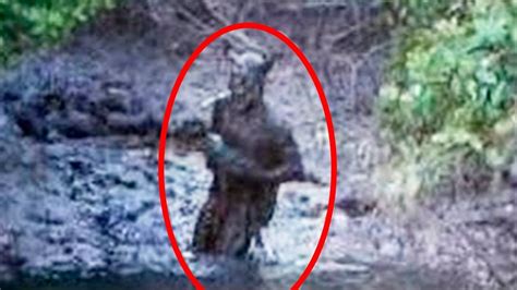 People Go Into The Forest To Find Aliens Looking At Them Video