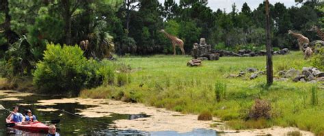 5 Admission Day At Brevard Zoo Space Coast Living Magazine