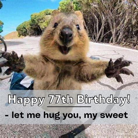 Happy 77th Birthday Cards And Funny Images