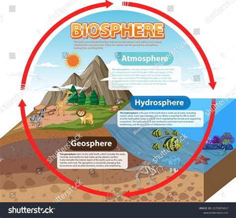 Biosphere Ecology Infographic Learning Illustration Stock Vector