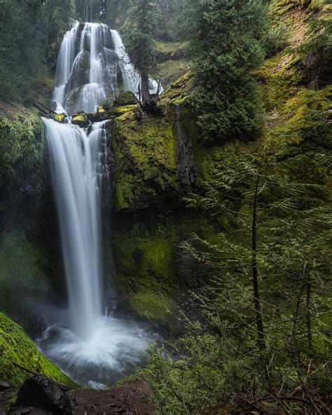 Falls Creek Falls In The Ford Pinchot National Forest Wa