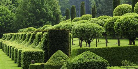 Best Topiary Gardens In The World Topiary Gardens To Visit
