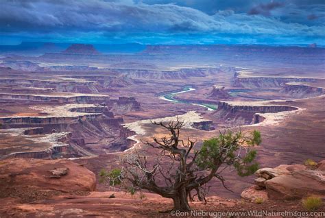 Canyonlands National Park Wallpapers Top Free Canyonlands National