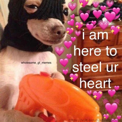 Please only post memes that are relationship based, whether negative or positive. 💕wholesome memes💕 on Instagram: "tag someone who stole ...