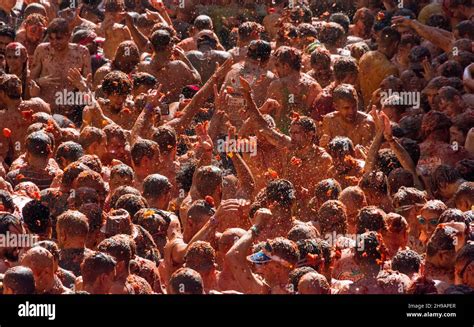 People Throwing Tomatoes At La Tomatina Tomato Festival Bunol