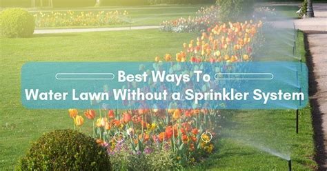 We did not find results for: best-way-to-water-lawn-without-a-sprinkler-system | #1 ...