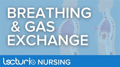 Breathing And Gas Exchange Anatomy And Physiology For Nurses Youtube