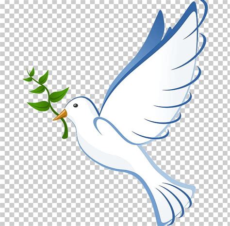 Peace Dove Png 10 Free Cliparts Download Images On Clipground 2023