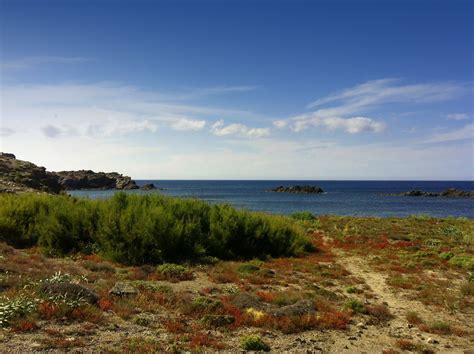 1920x1080 Wallpaper Green Grass Field Beside Ocean Peakpx