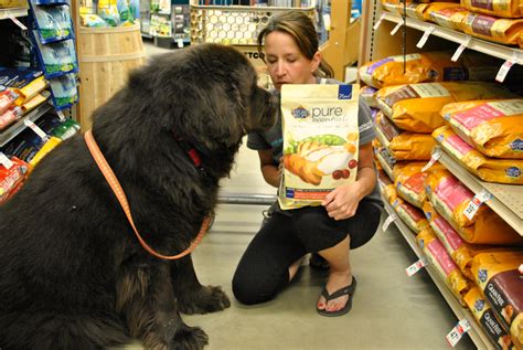 Holistic products for pet health, including natural dog food, treats, vitamins, flea control, supplements, grooming, & more. Come Shop With Us As We Check Out Nature's Recipe # ...