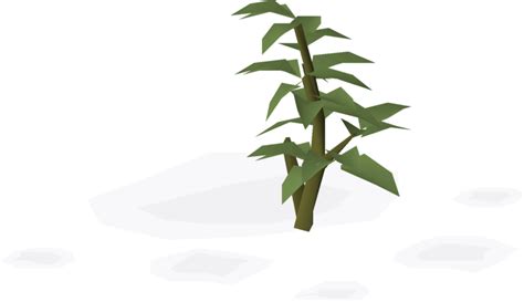 Filepotato Plant Watered Stage 3png Osrs Wiki