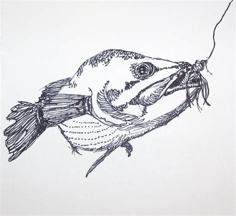 If you are a nature admirer, you will surely love these nature drawings. ARTIQUERYROSE: I CAUGHT A FISH! REALISTIC DRAWING
