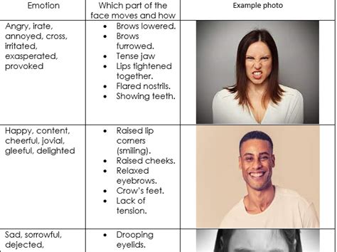 Facial Expression Sheet Teaching Resources