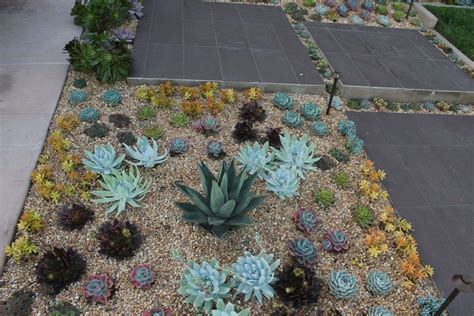 75 Landscaping Ideas Youll Love April 2022 Houzz Front Yard