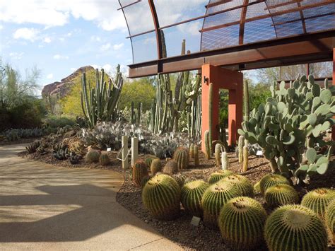 Desert Botanical Garden Phoenix Central Arizona
