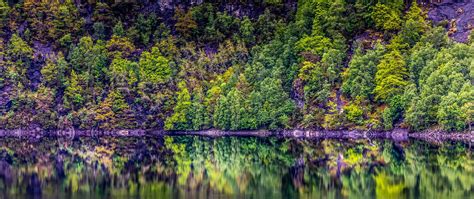 Download Wallpaper 2560x1080 Trees Lake Reflection Forest Dual Wide