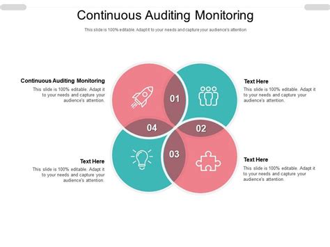 Continuous Auditing Monitoring Ppt Powerpoint Presentation Infographic