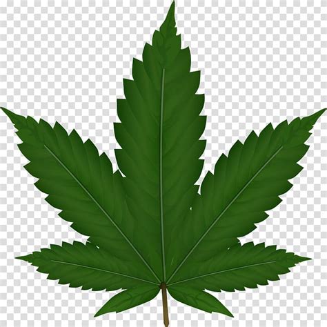 Weed Clipart No Background 10 Free Cliparts Download Images On
