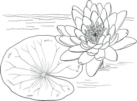 Free coloring sheets to print and download. Claude Monet Coloring Pages at GetColorings.com | Free ...