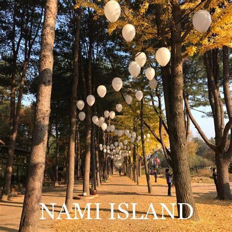 Day Trip From Seoul Nami Island Petite France And Garden Of The Morning